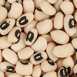 Black Eyed Bean
